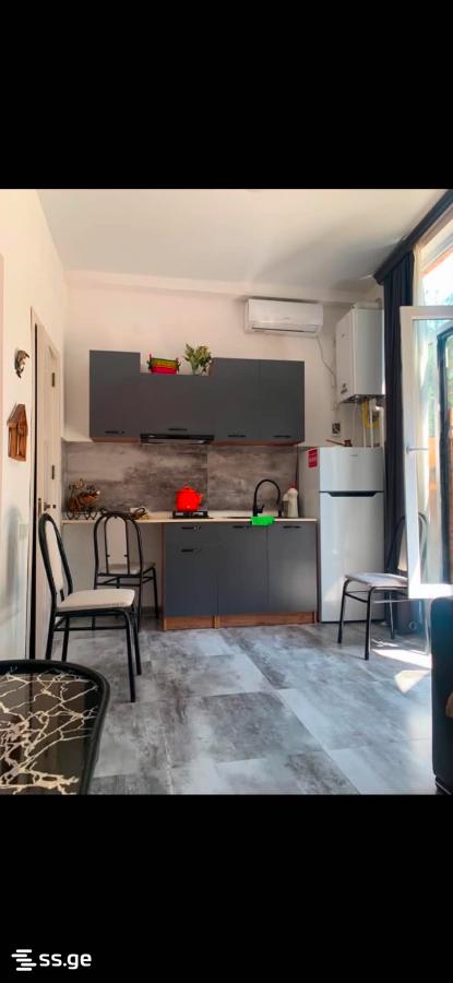 2 Room Flat Daily Rent. Mtskheta view 4
