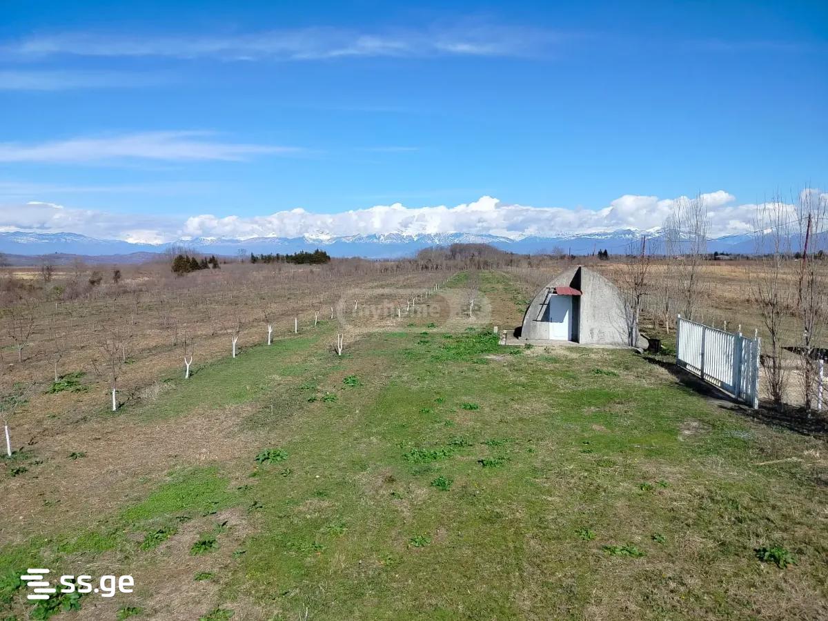 Продажа Земля в сенаки view 12