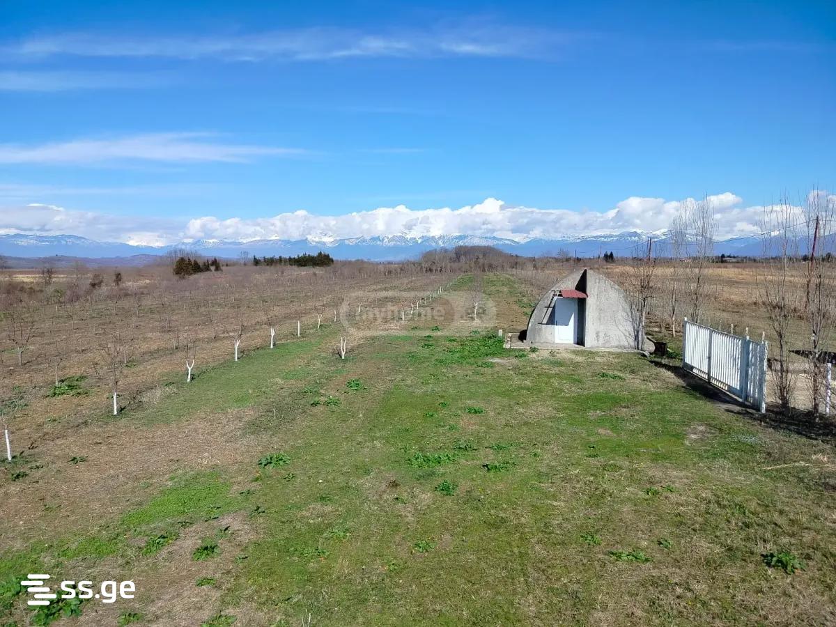 Land For Sale. Senaki view 10