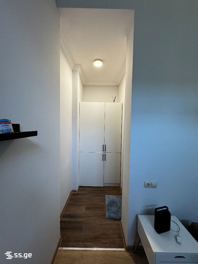 1 room Flat For Rent. Didube - Ansicht 3