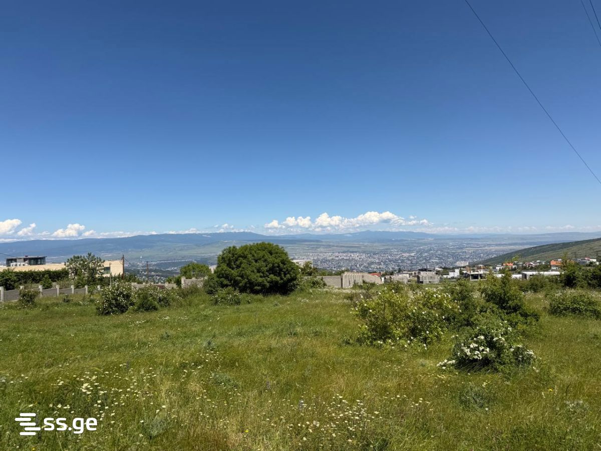 Land For Rent. Tsavkisi view 1