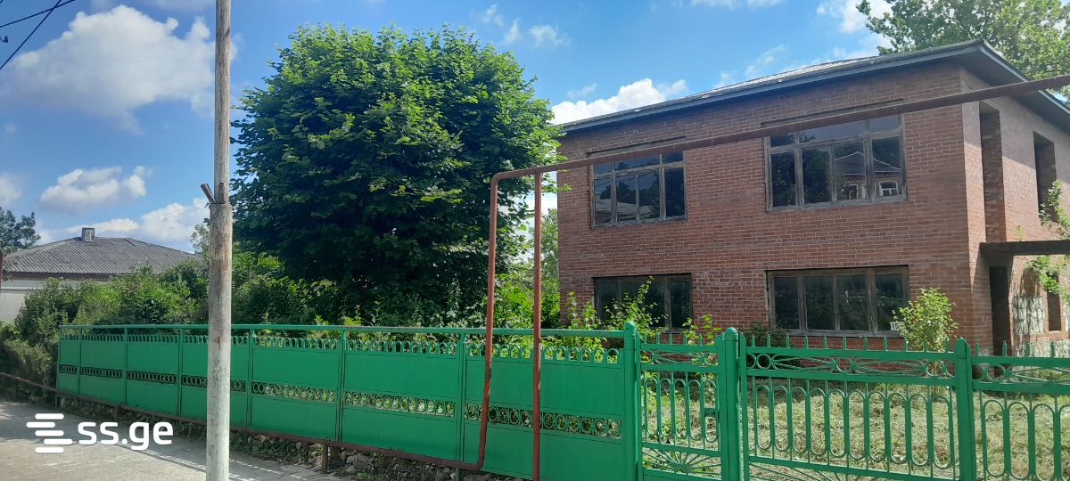 Private House For Sale. Senaki view 2