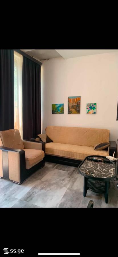 2 Room Flat Daily Rent. Mtskheta view 1