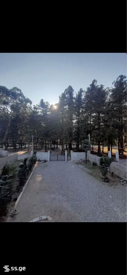 6 Room Private House For Rent. Khelvachauri view 9
