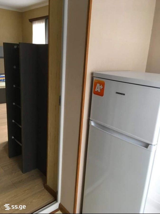 8 Room Summer Cottage Daily Rent. Manglisi view 9