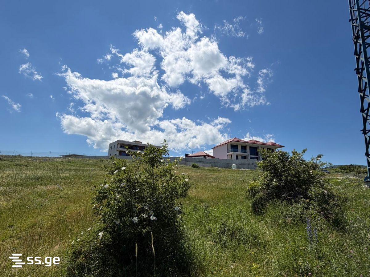 Land For Rent. Tsavkisi view 6