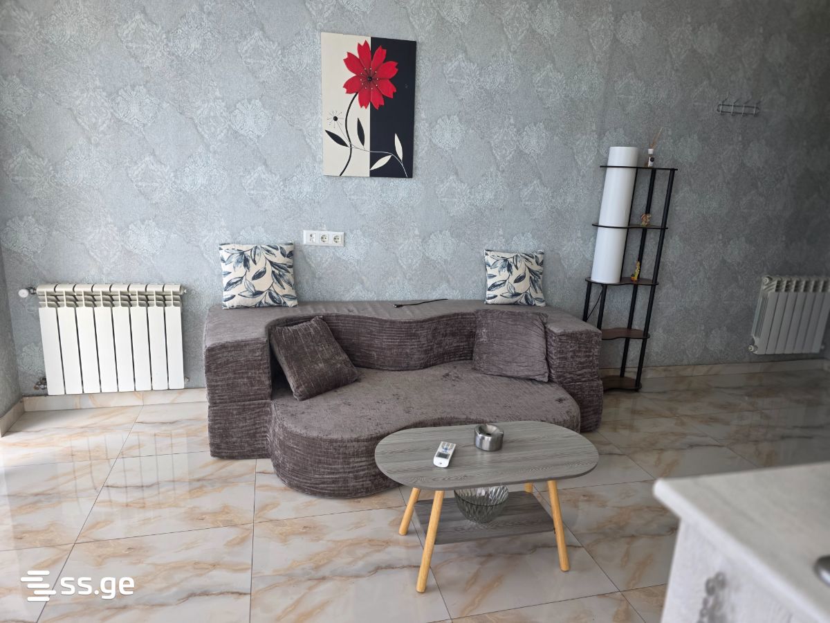 2 Room Flat Daily Rent. Didi Digomi view 7