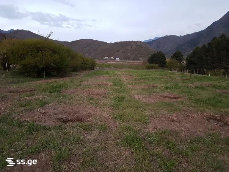For Sale Sasoplo-Sameurneo Land Plot Borjomis Munitsipalitetshi view 7