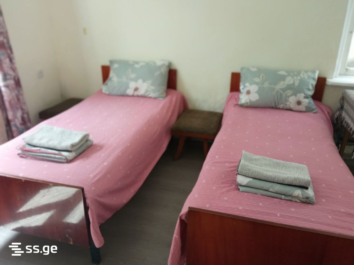 1 Room Private House Daily Rent. Zugdidi view 1