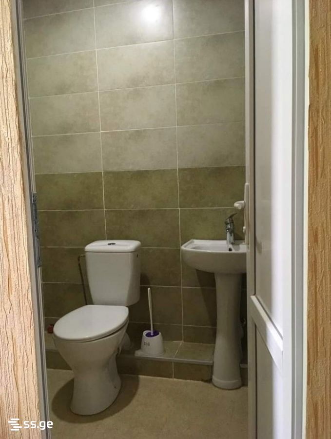 8 Room Summer Cottage Daily Rent. Manglisi view 11