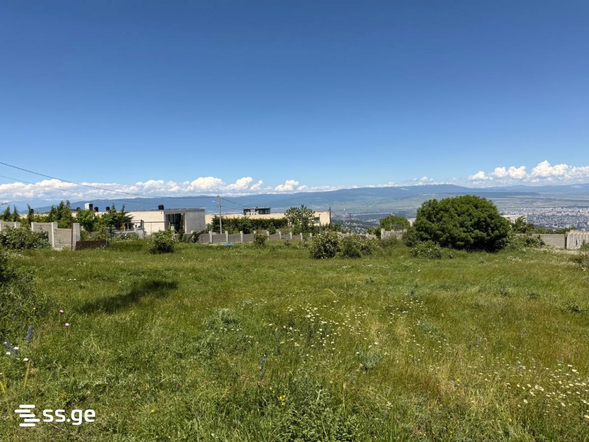 Land For Rent. Tsavkisi view 4