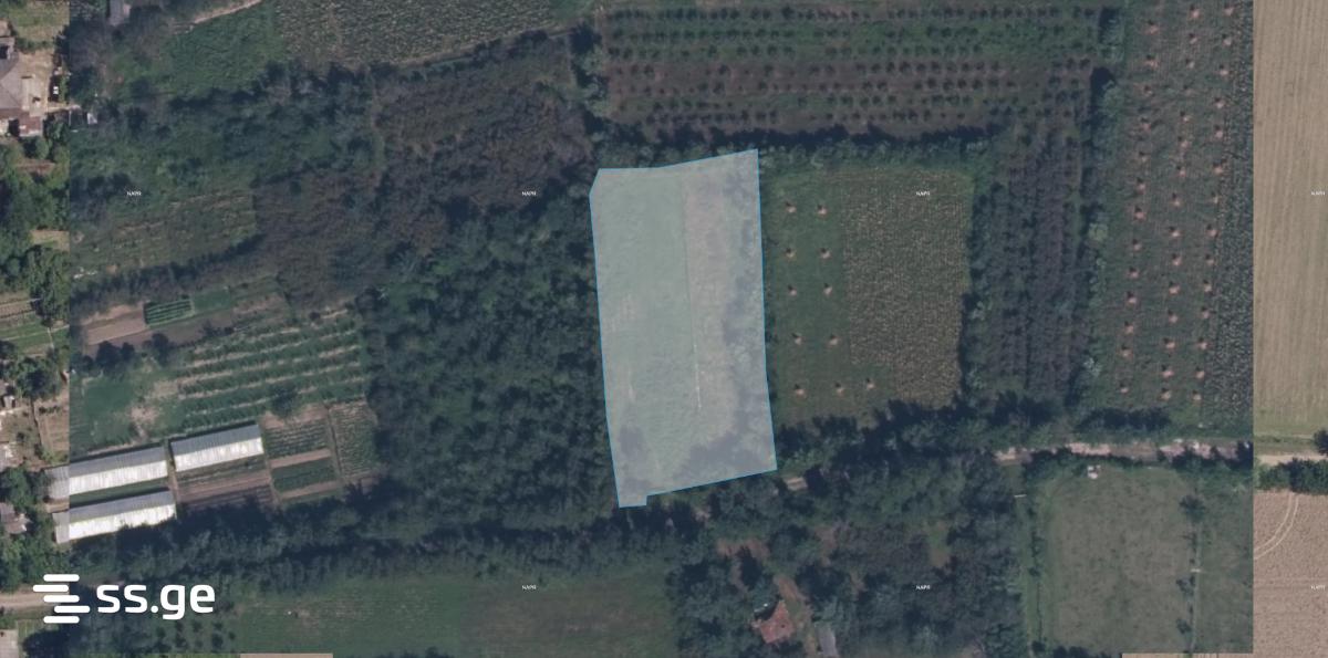 Land For Sale. Samtredia view 1