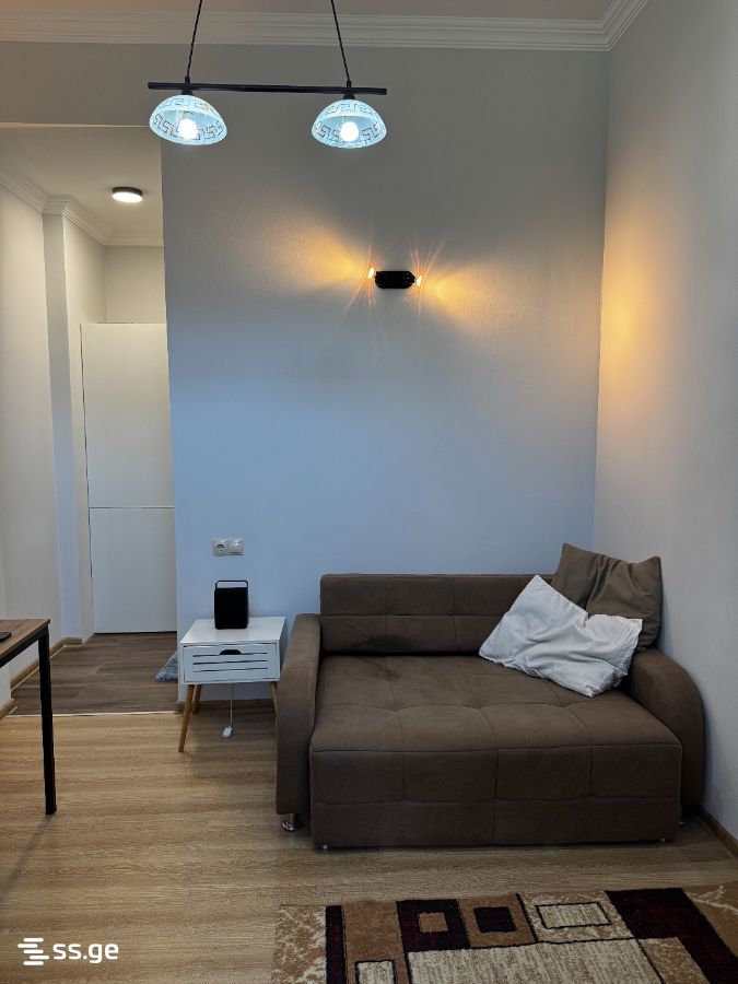 1 room Flat For Rent. Didube - Ansicht 5