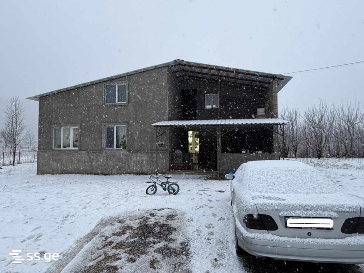 Private House For Sale. Tianeti view 3