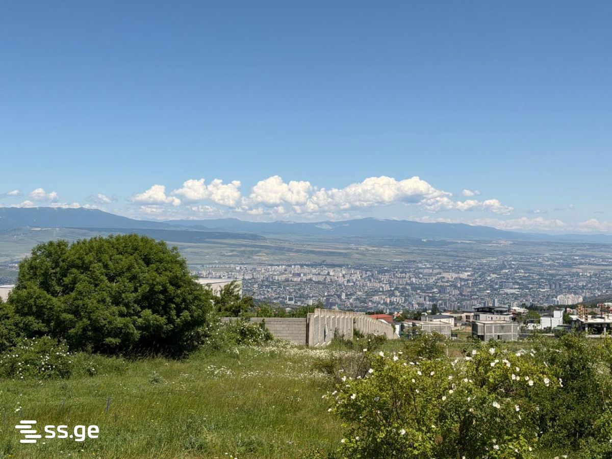 Land For Rent. Tsavkisi view 2