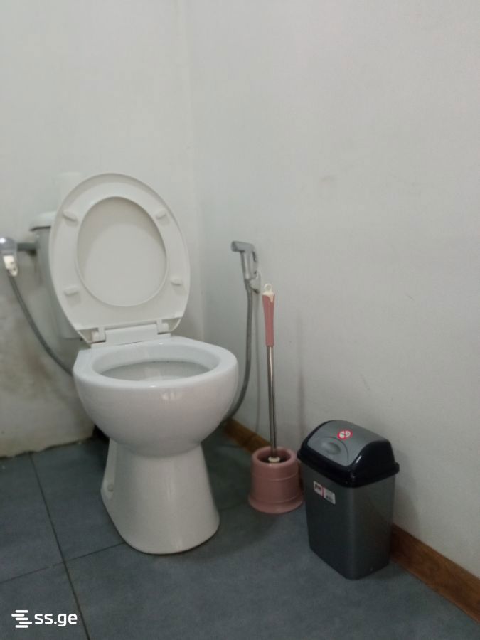 1 Room Private House Daily Rent. Zugdidi view 3