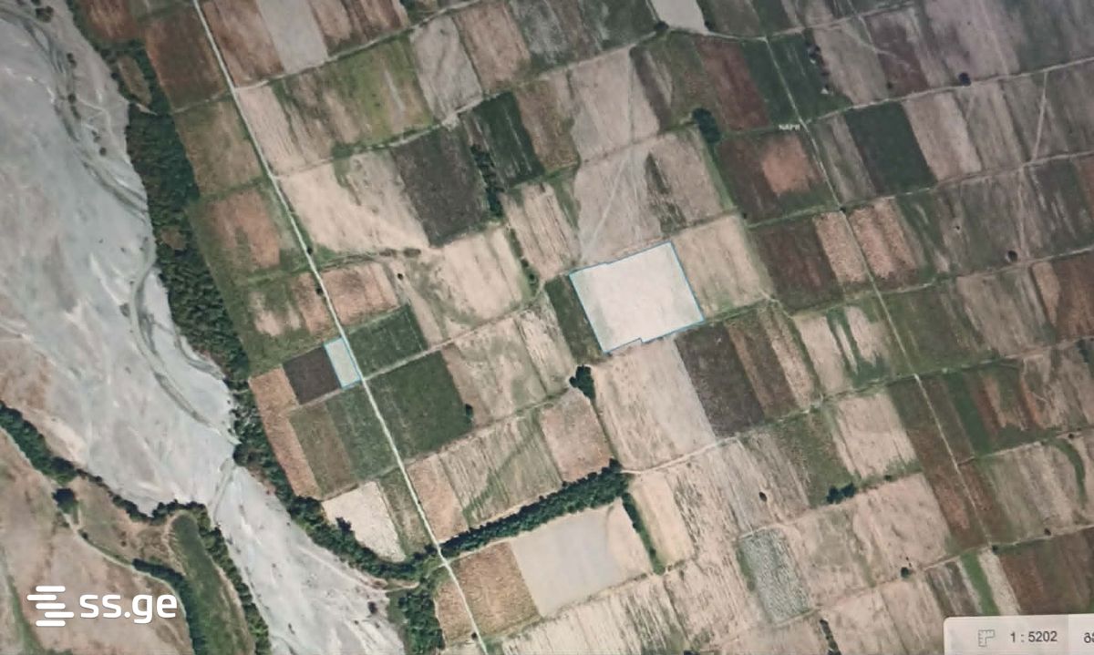Land For Sale. Poti view 1