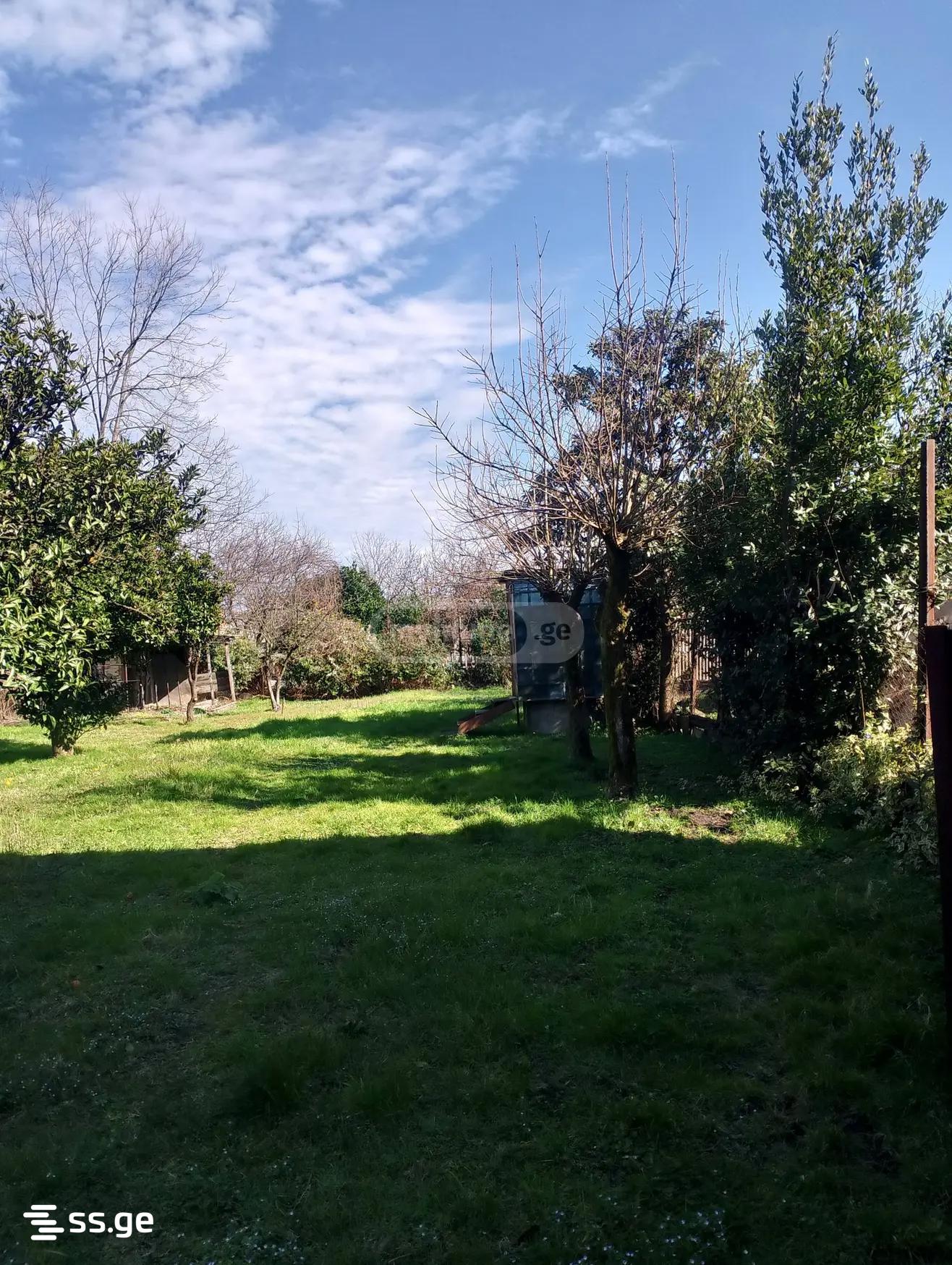 5 Room Private House For Rent. Poti view 10