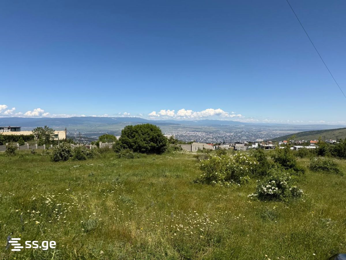 Land For Rent. Tsavkisi view 5