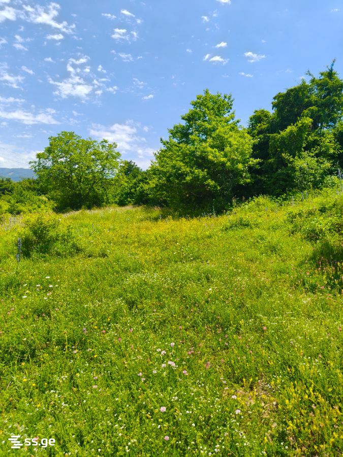 Land For Sale. Navdaraantkari view 6