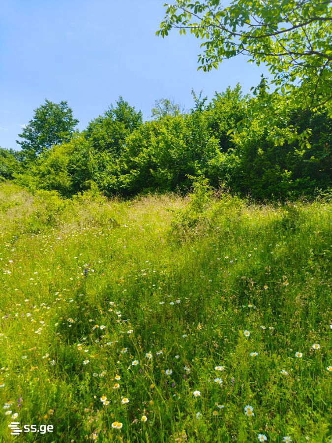 Land For Sale. Navdaraantkari view 12