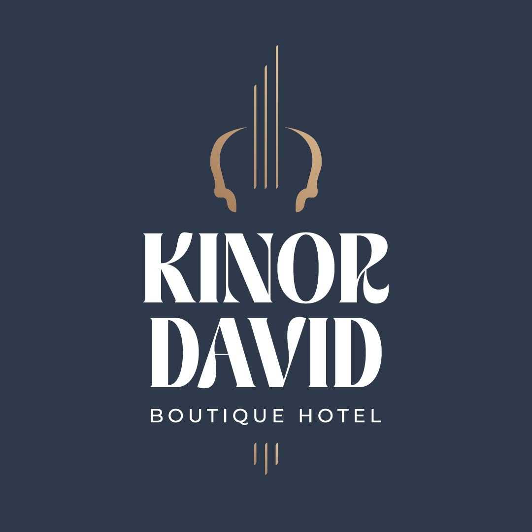 Kinor David