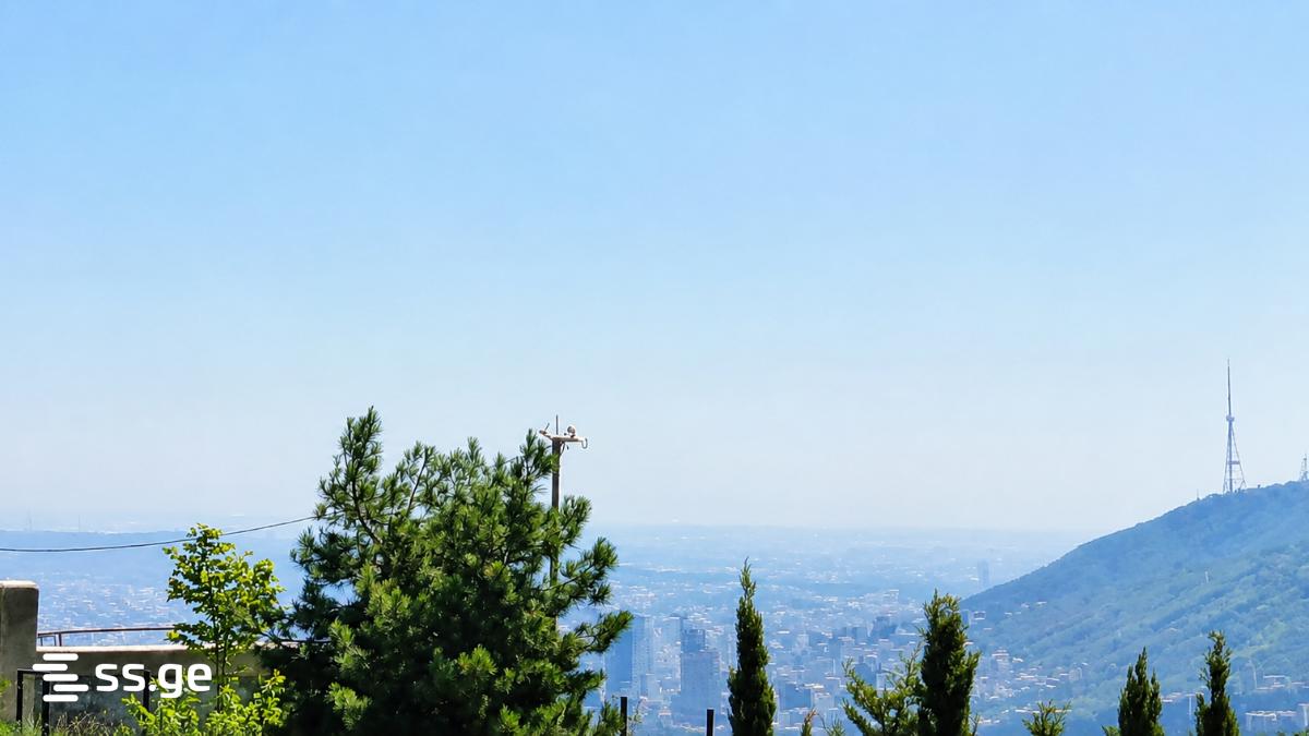 იყიდება მიწა ნაპეტვრებიში view 2