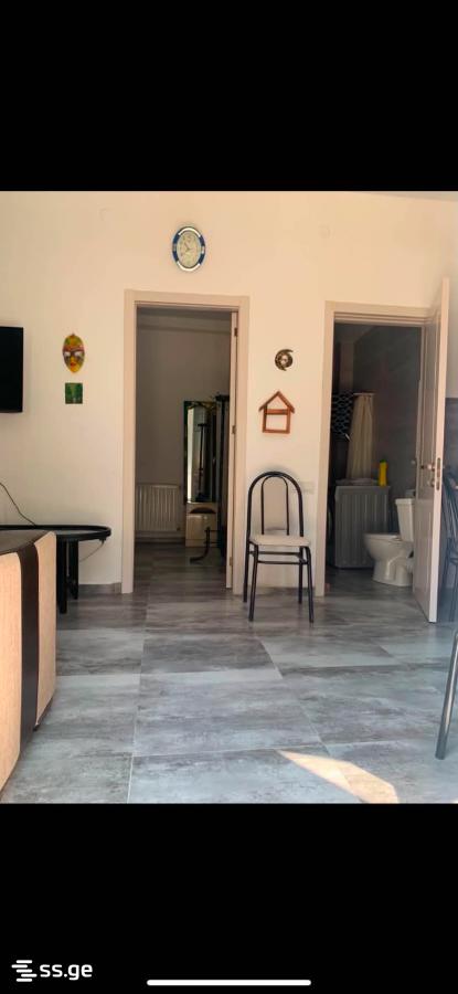 2 Room Flat Daily Rent. Mtskheta view 3