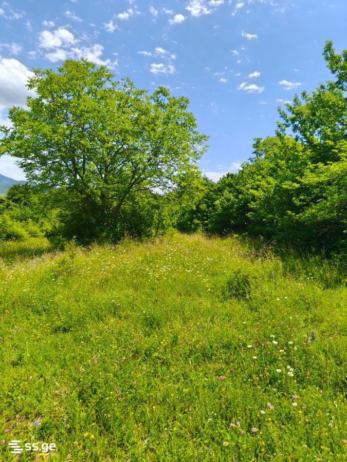 Land For Sale. Navdaraantkari view 9