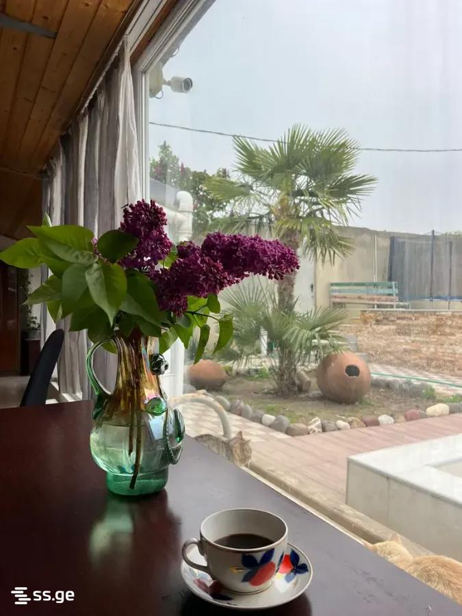 3 Room Private House Daily Rent. Gldani, 1 of 12