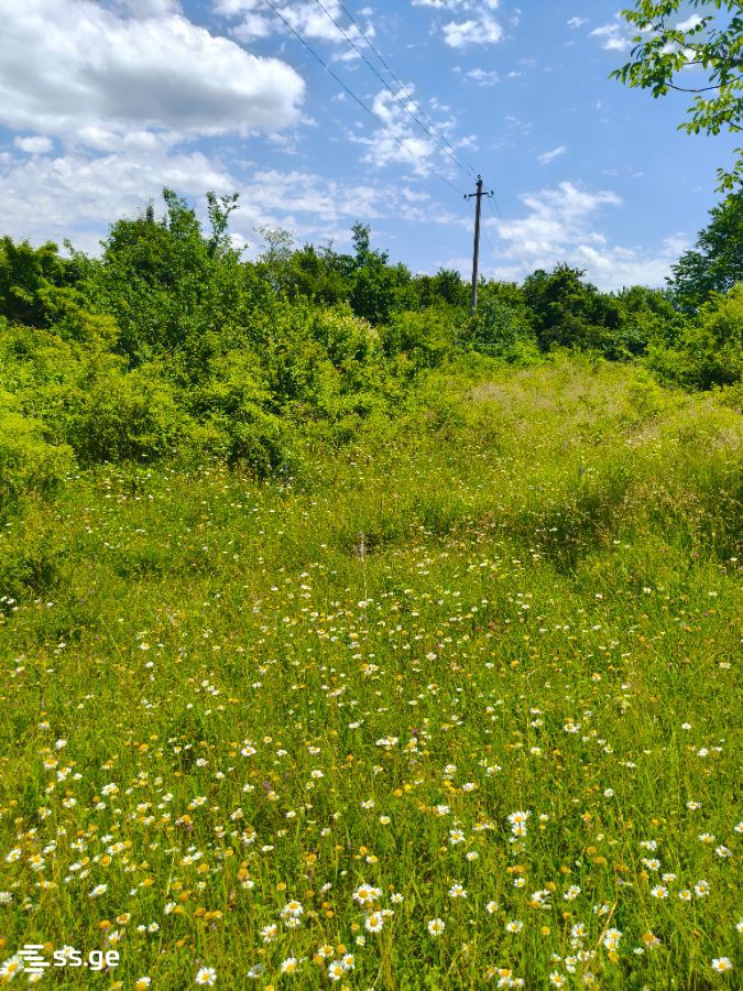 Land For Sale. Navdaraantkari view 13