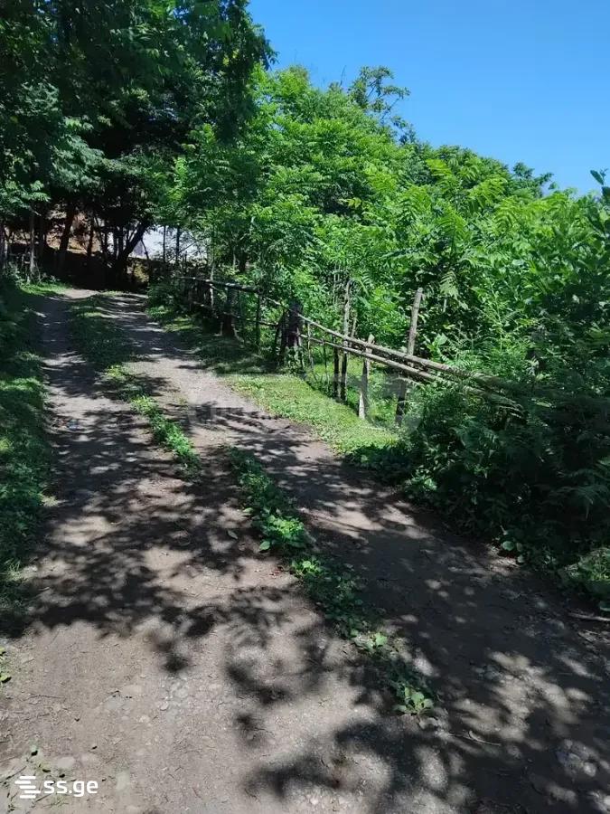 Land For Sale. Tsikhisdziri view 4