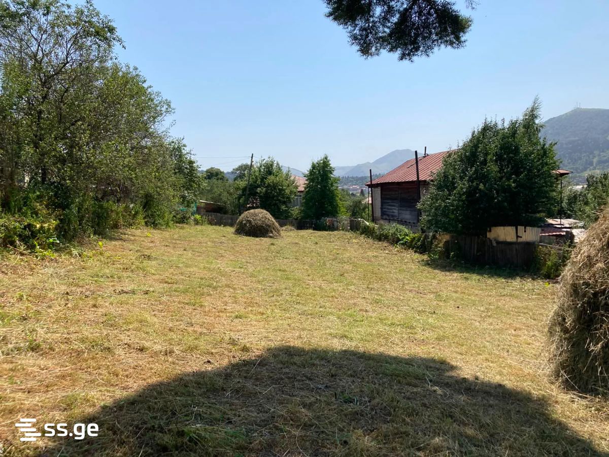 Land For Sale. Bakuriani view 6