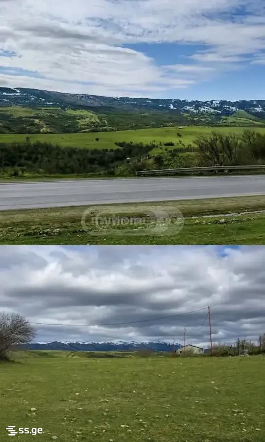 Land For Sale. Norio view 2