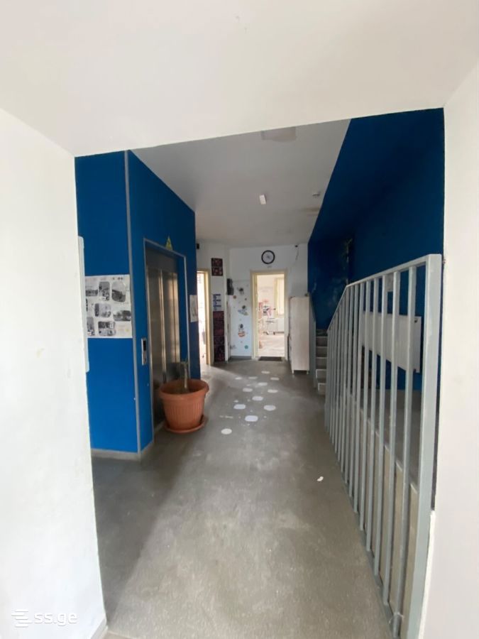 Commercial Space For Sale. Saguramo view 8