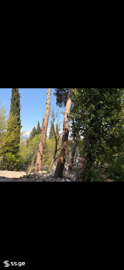 Land For Sale. Sololaki view 4