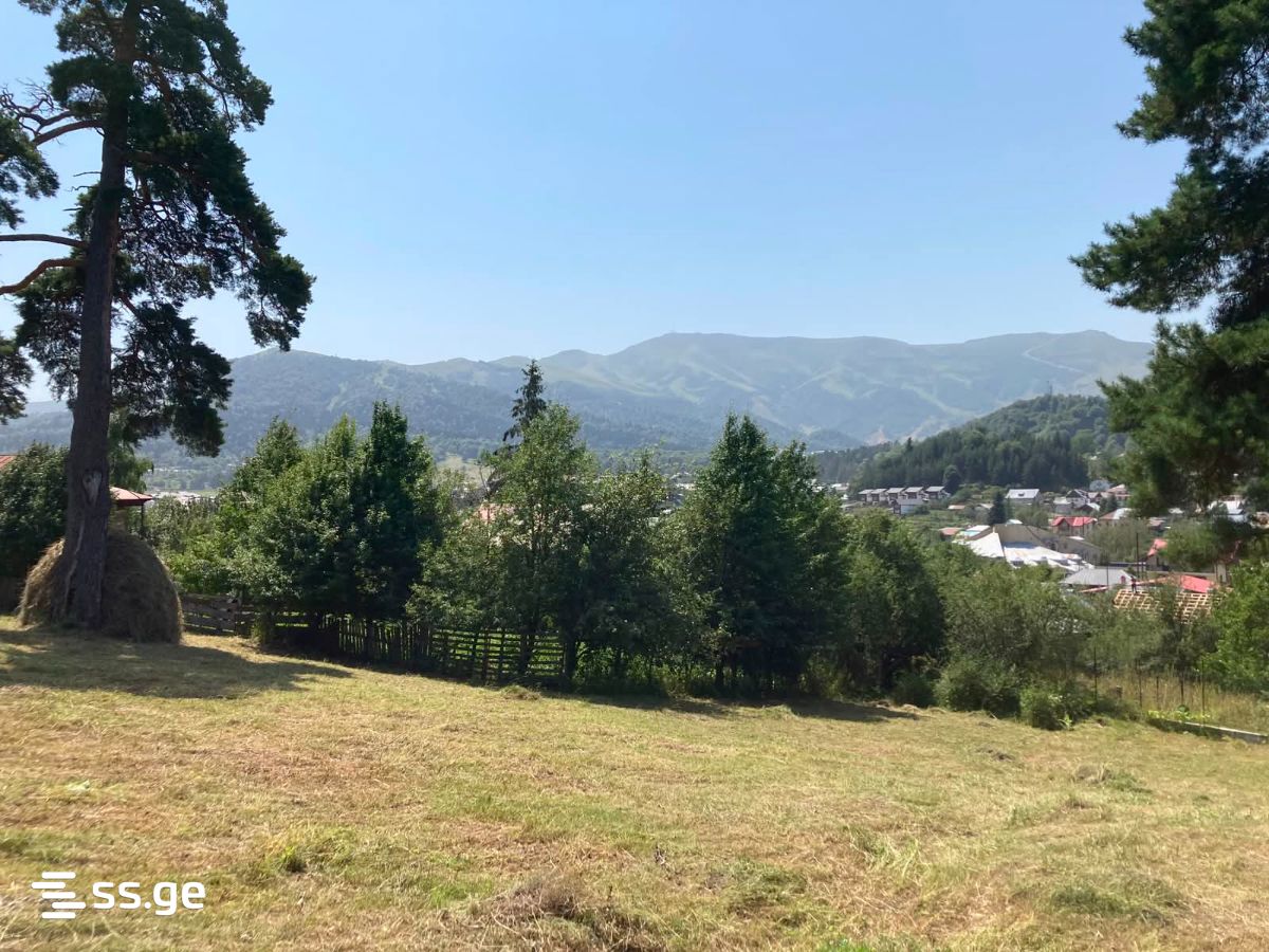 Land For Sale. Bakuriani view 5
