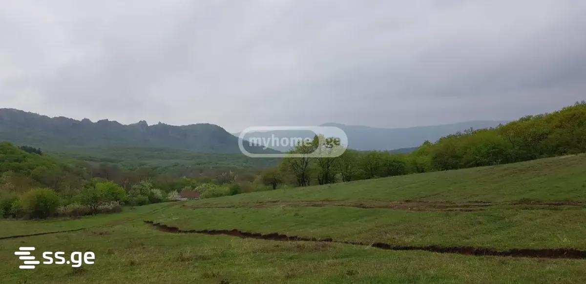 Land For Sale. Orbeti view 4