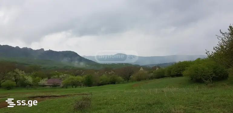 Land For Sale. Orbeti view 6