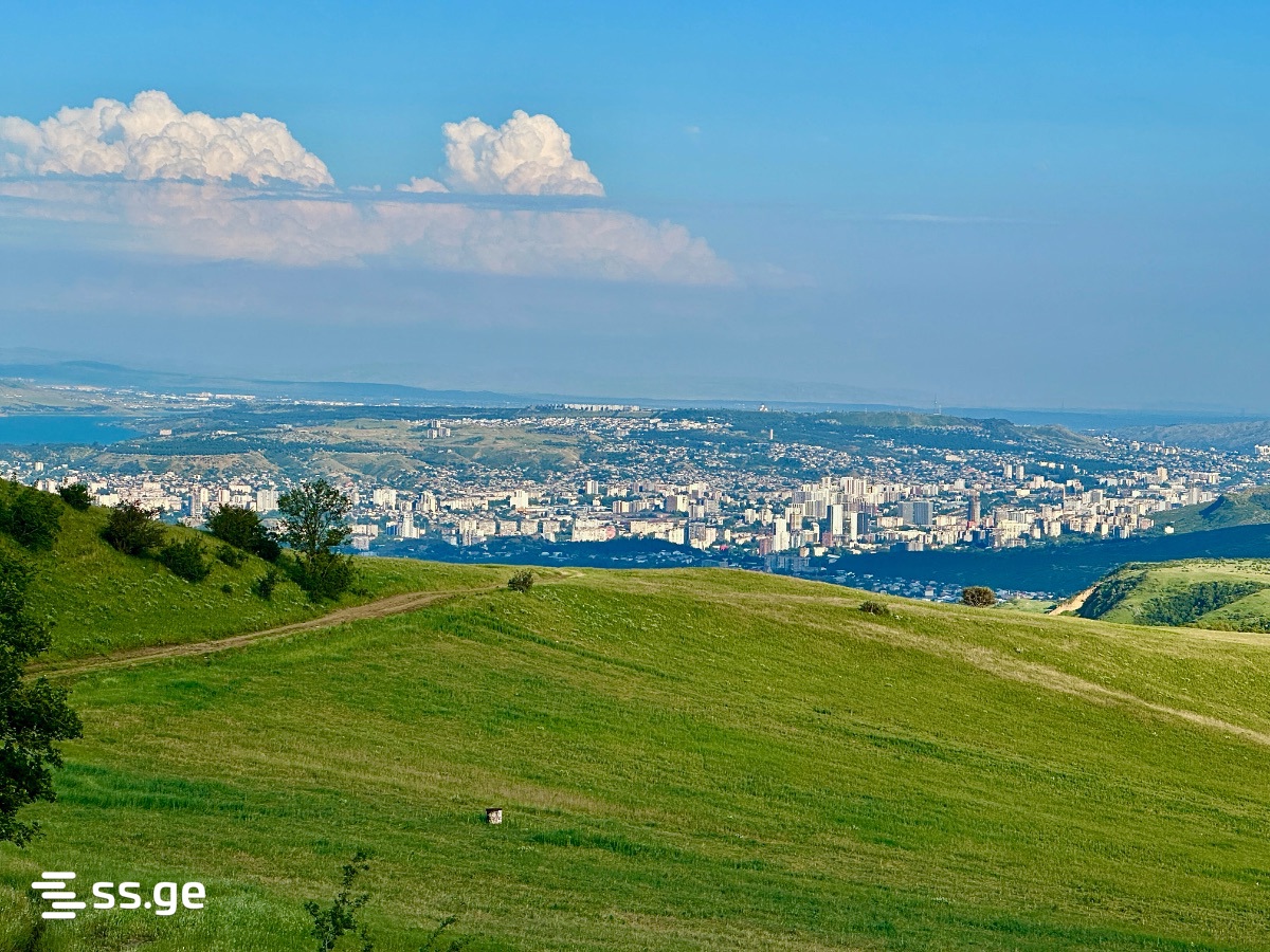 Land For Sale. Digomi village - Widok 2
