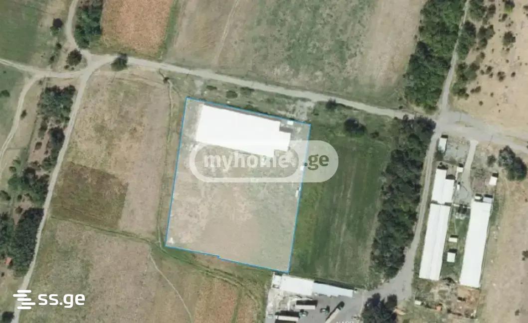 Store-Industrial Property For Sale. Gardabani view 7