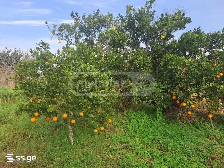 5 Room Summer Cottage For Sale view 7