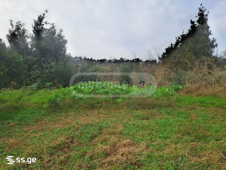 5 Room Summer Cottage For Sale view 1