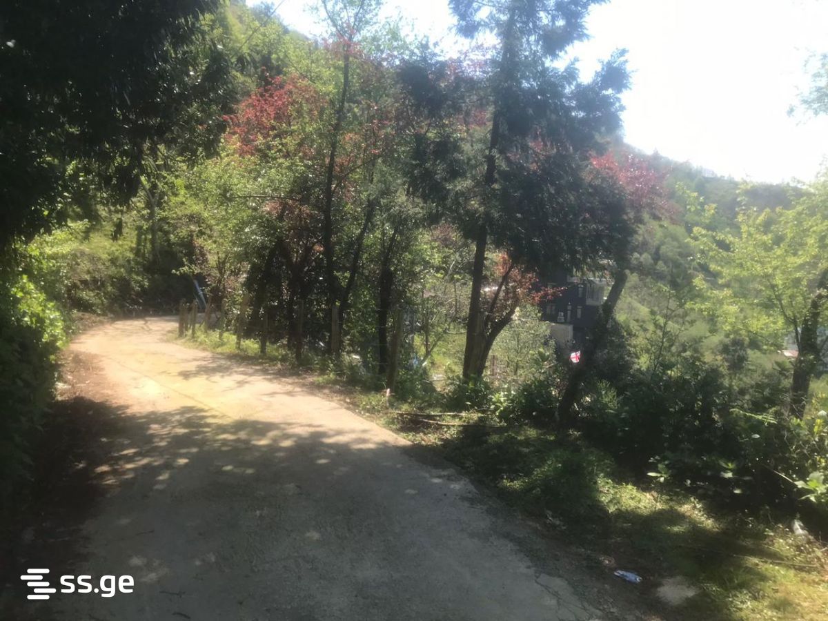 Land For Sale. Kvariati view 4