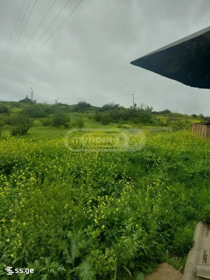 Land For Sale. Nadzaladevi view 5