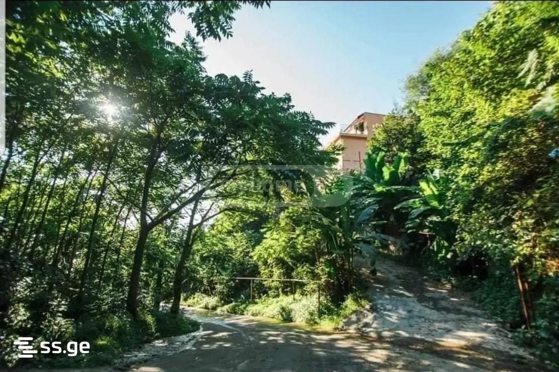 7 Room Summer Cottage For Rent. Batumi view 3