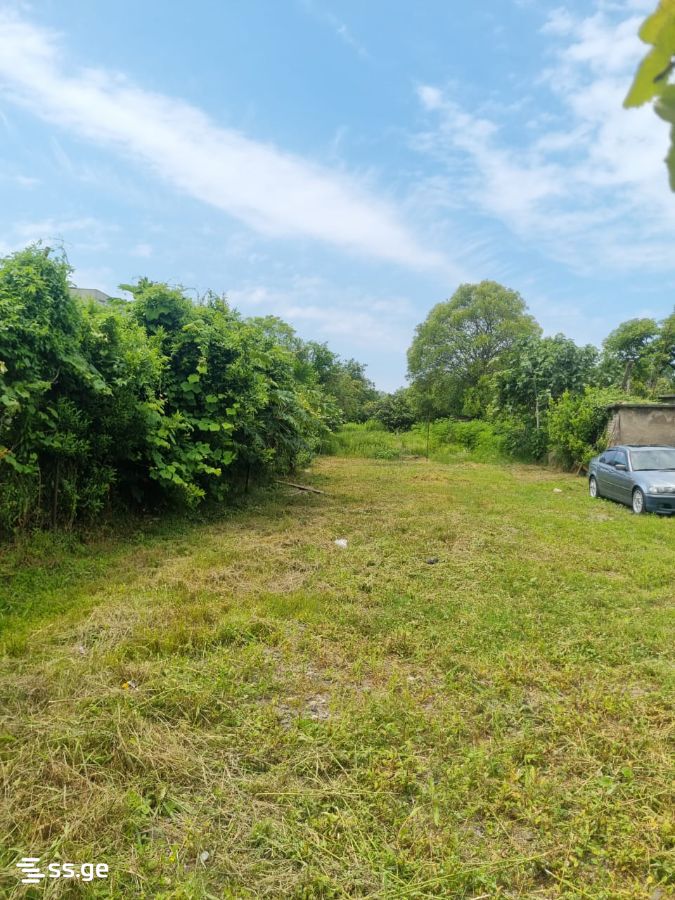 Land For Sale. Poti view 4