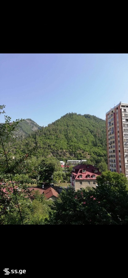 3 Room Private House Daily Rent. Borjomi view 10