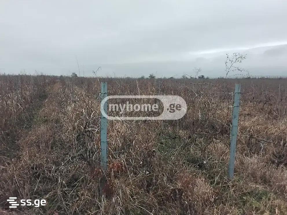 Продажа Земля в сагареджо view 3