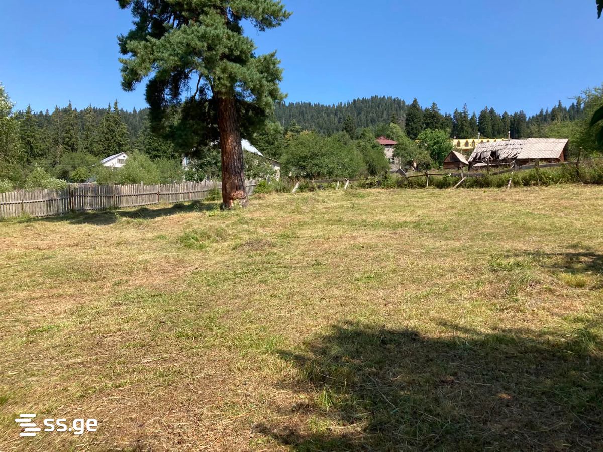 Land For Sale. Bakuriani view 3